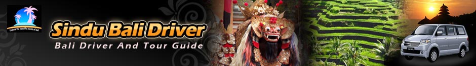 bali driver, bali tour guide