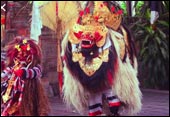 tour packages bali driver