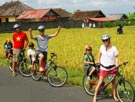 activity bali