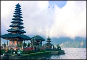tour packages bali driver