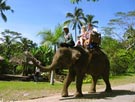 activity bali