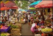 tour packages bali driver
