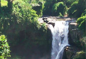 tour packages bali driver