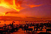 tour packages bali driver
