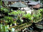 tour packages bali driver