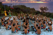 tour packages bali driver