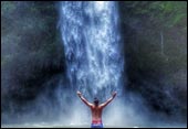 tour packages bali driver