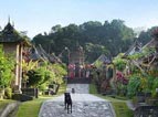 tour packages bali driver