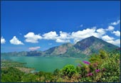 tour packages bali driver