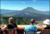 tour packages bali driver
