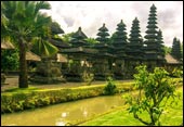 tour packages bali driver
