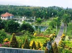 tour packages bali driver