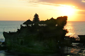 tour packages bali driver