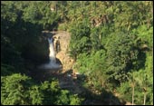 tour packages bali driver