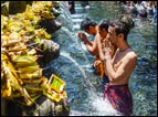 tour packages bali driver