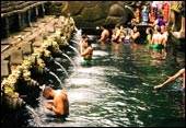 tour packages bali driver